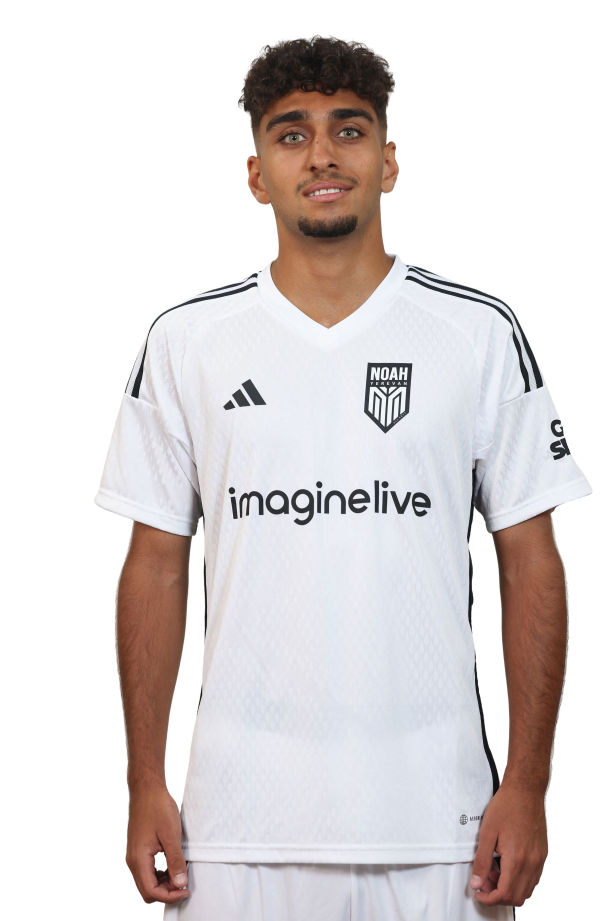 Գոռ Մանվելյան